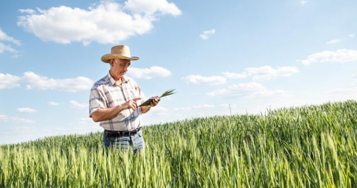 зміни в аграрному секторі України