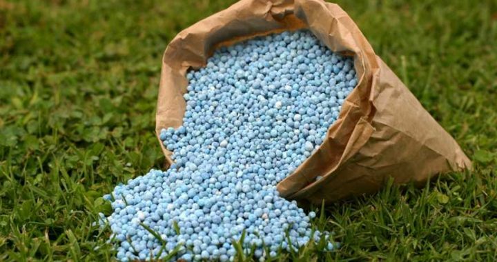 заборона на морський імпорт мінеральних добрив