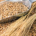 Агресор викрав в України зерна на понад 100 млн доларів