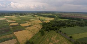 Різниця у вартості землі між регіонами