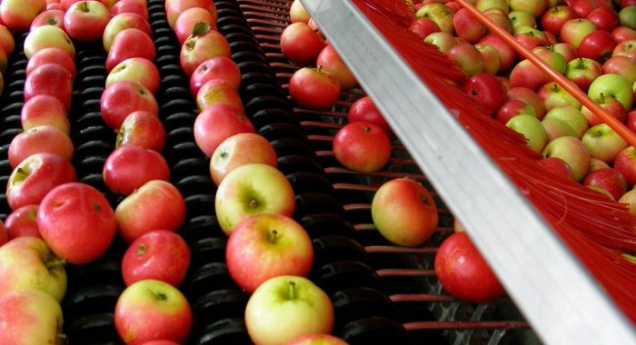 Переробна промисловість отримає майже мільярд гривень