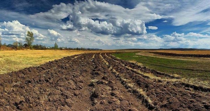 Орендарі заповнюватимуть нову декларацію від Нового року