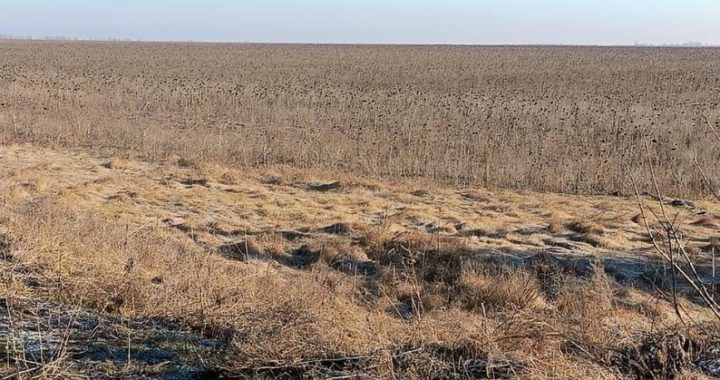 Розмінування переходить на міжнародні стандарти