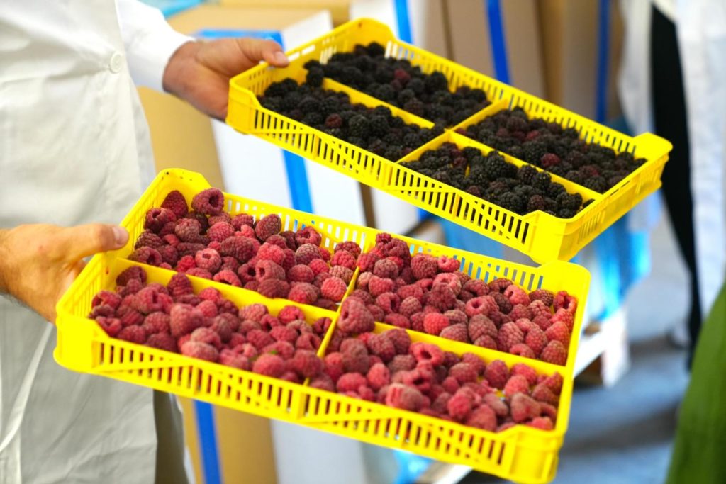 Файна Поляна