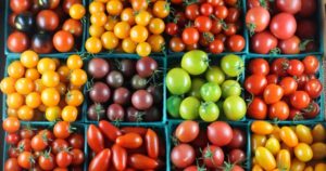 Ціни на томати злетіли через погодні катаклізми