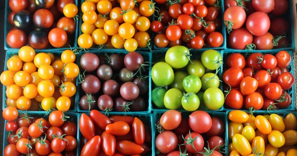 Ціни на томати злетіли через погодні катаклізми