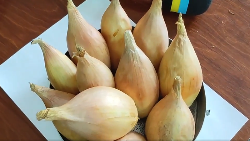 Ціна цибулі впала на 15 відсотків за тиждень
