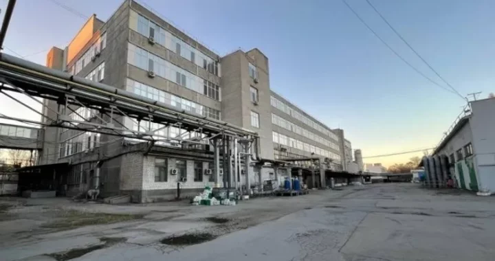 через борги