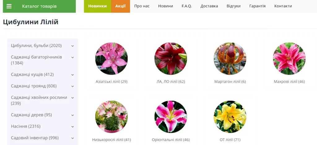 лілії з цибулин