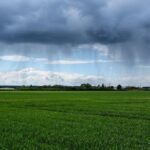 Погода в Україні: грози, град та шквали