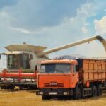 Ячмінь: врожайність б’є рекорди