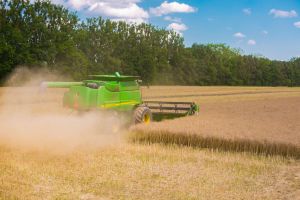 Аграрії зібрали 5,9 млн тонн ранніх культур