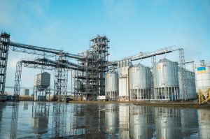 Агросектор лідирує в M&A-угодах України