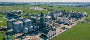 Allseeds зупинила роботу в Україні
