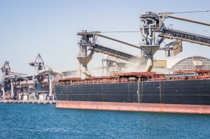 Азовське море: імпорт пшениці для арабських країн дорожчає