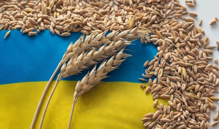 Експорт пшениці в умовах блокування портів: виклики для АПК