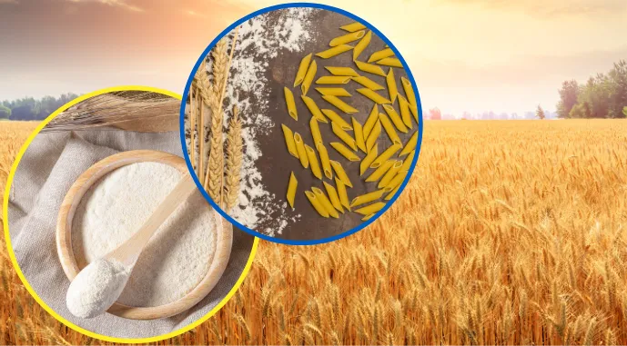 Експорт зернових продуктів України зростає