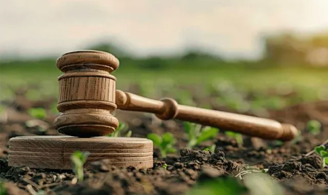 Інвестиції в землю: можливості та ризики під час війни