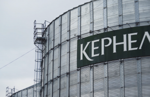 Кернел встановив рекорд з перевалки агропродукції