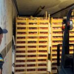 Контрабанда сигарет у полуниці: викрито схему на кордоні