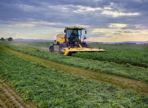 New Holland: потужні косарки Speedrower