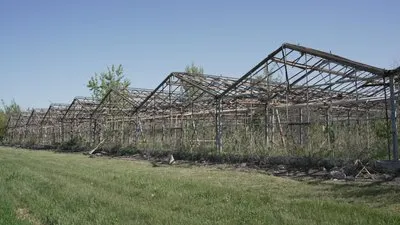 Овочівництво Херсонщини: наслідки війни