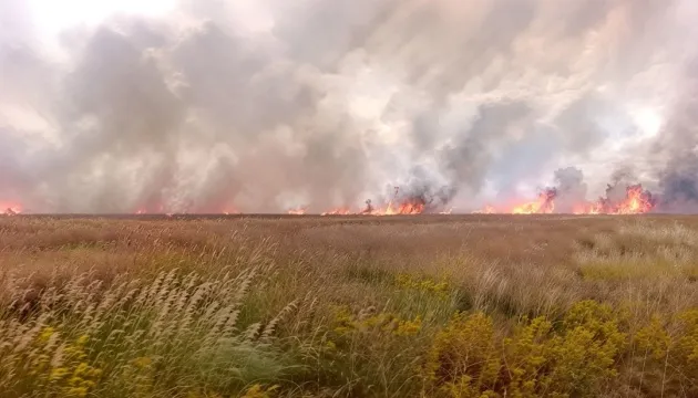 Масштабна пожежа в заповіднику Асканія-Нова: наслідки