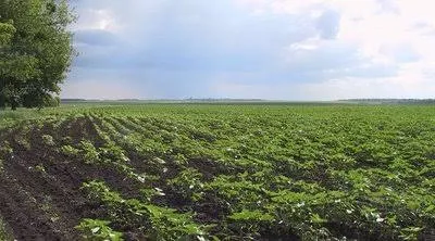 Узуфрукт: новий закон легалізує права землекористувачів