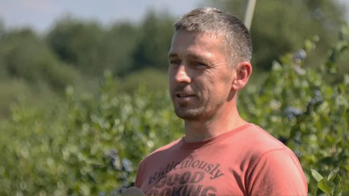 Ветеран з Волині створив успішний ягідний бізнес