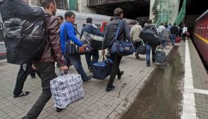 Зарплати в агросекторі: як зупинити дефіцит кадрів