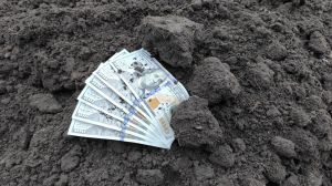 Зарплати в «НІБУЛОНі» зросли до $1650 під час війни