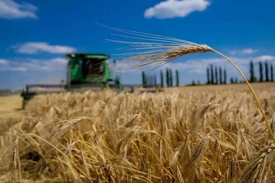 Жнива-2024: Україна перевершила очікування