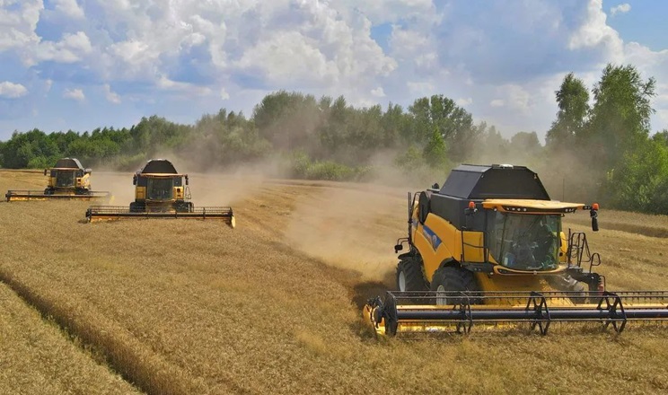 Жнива на Сумщині: зібрано 15% ранніх зернових