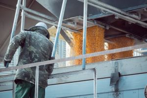 Агросектор України: дефіцит кадрів триває