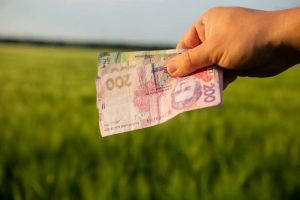 Беззаставні кредити для аграріїв: WEAGROBANK вже видав 6 млн грн