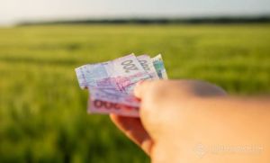 Державна підтримка: 19 банків отримали гарантії для агробізнесу