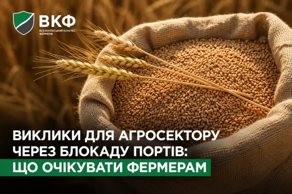 Експорт зерна: чому ситуація для фермерів стала критичною