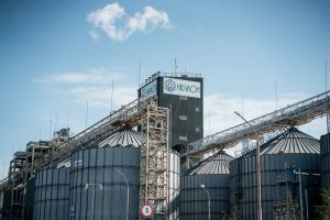 Експорт зерна НІБУЛОН: чому компанія втратила обсяги