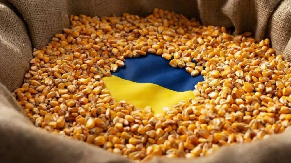 Експорт зерна з України: динаміка на старті сезону