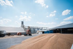Фермери України: врожай не продається