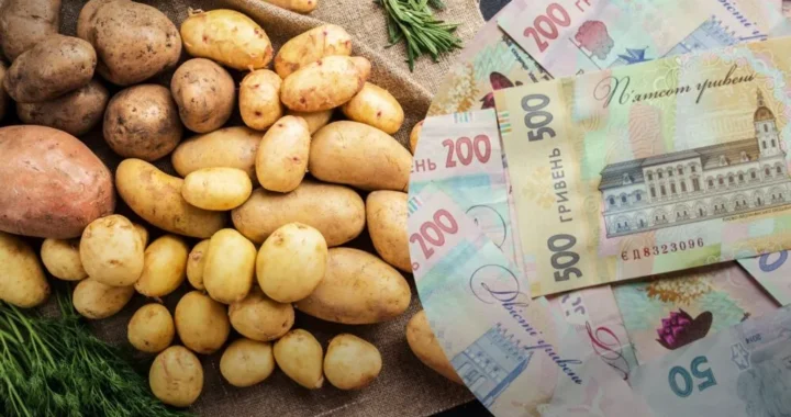 Картопля: ціна зросте до 40%
