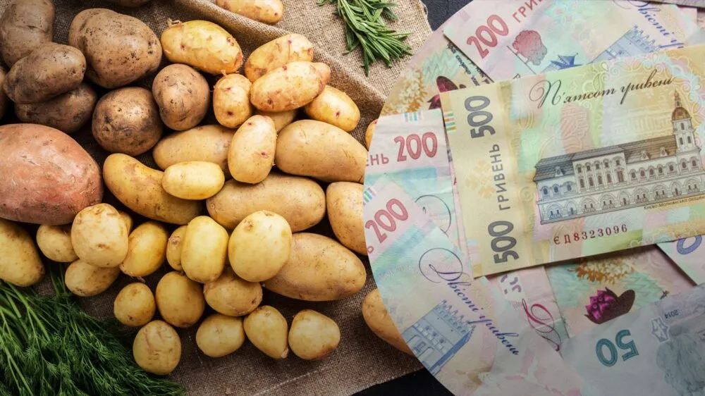 Картопля: ціна зросте до 40%