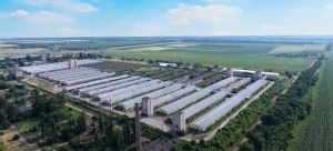 KSG Agro: прибуток злетів у 3 рази