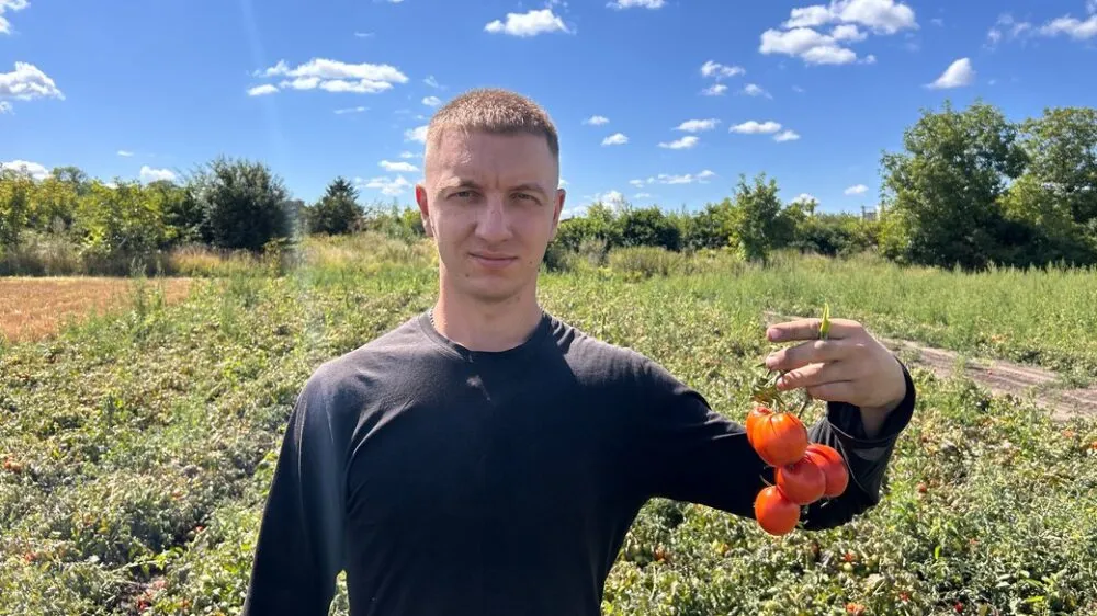 Молодий фермер з Хмельниччини вирощує 15 тисяч кущів томатів