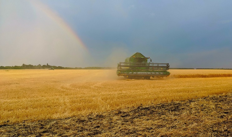 На Прикарпатті успішно завершили збір ранніх зернових