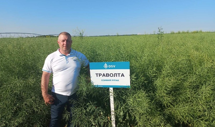 Надранні посіви озимого ріпаку: чи варто знижувати густоту