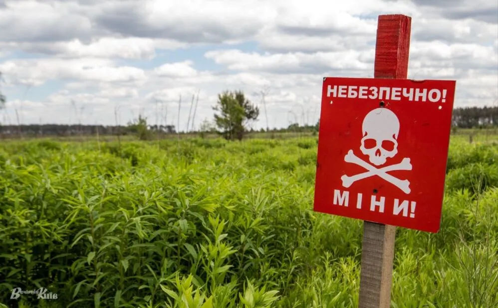 Нелегальне розмінування: тіньовий ринок в агросекторі