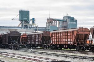 Нові шляхи для українського зерна
