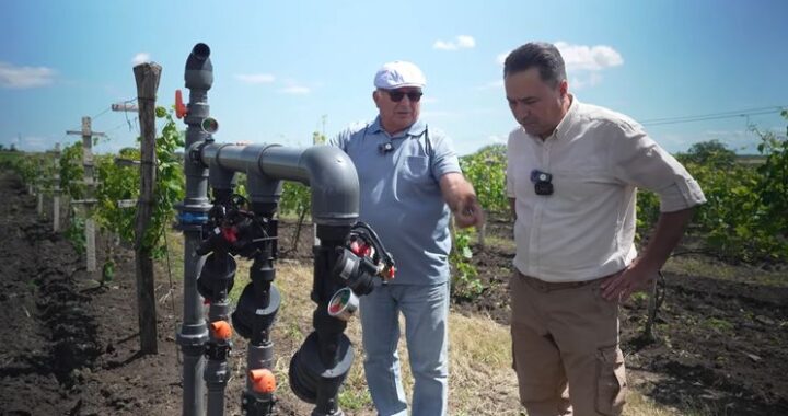 Підземне зрошення саду: досвід молдовського фермера