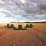 Прогноз врожаю зернових: Україна нарощує потенціал